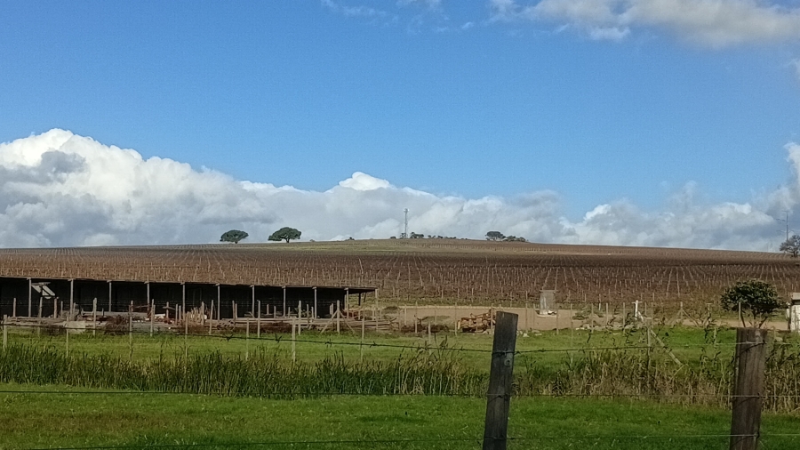 5 Bedroom Property for Sale in Stellenbosch Farms Western Cape
